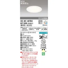 オーデリック ODELIC OD361407BC LEDダウンライト【沖縄離島販売不可】