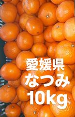 愛媛県産　なつみ　柑橘　　10kg