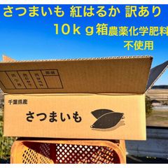 紅はるか10kg  有機 肥料のみ さつまいも 紅はるか 訳あり 約9.5Kg　10ｋｇ箱 千葉県産 B品S~2Lサイズ