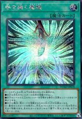 咎を擁く魔瞳(シークレット)