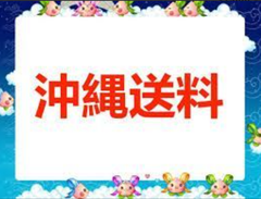 沖縄 送料追加専用ページ