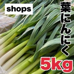【農家直送】高知県特産‼️葉ニンニク 5kg 即購入OK vll