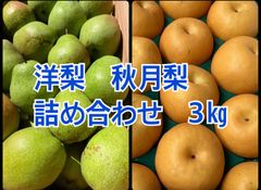 洋梨　秋月　詰め合わせ　3k