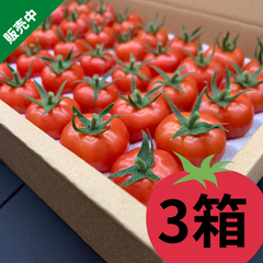 35粒 甘い薄皮 減農薬 プチぷよミニトマト　さくらんぼトマト