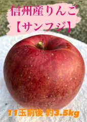 信州産りんご【サンふじ】大きさおまかせ★約3.2kg
