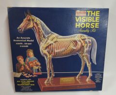 RENWAL THE VISIBLE HORSE ASSEMBLY KIT