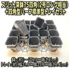 スリット深鉢75四角(EG-75L＊2号ロング相当一辺6.3cm)-20鉢＋四角型ハーフトレイ(標準型H6.4cm)セット＊多肉植物・塊根植物コーデックス・アガベ・サボテン・ハオルチア＠フラワーショップ江口