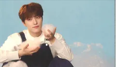 SEVENTEEN DREAM DINO トレーディングカード