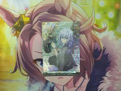 ヴァンガード 磁力怪獣 マグニデス FFR ヴァンガード 竜魂鳴導 磁力怪獣マグニデス FFR - メルカリ