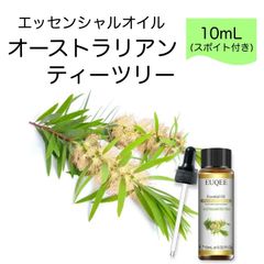 オーストラリアンティーツリー ティートゥリー Leptospermum laevigatum スポイト付 10ml EUQEE 高品質 PREMIUM GRADE ウッディ 樹木