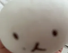 【新品・未使用】ベッキョン　トレギ　Baekhyun TEOLAEGI ラグ 新品・未使用】ベッキョン トレギ Baekhyun TEOLAEGI ラグ 【公式通販】