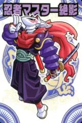 神羅万象カード　まとめ売り② 800種 800枚 以上　聖龍王サイガなど 神羅万象カード まとめ売り② 800種 800枚 以上 聖龍王サイガ