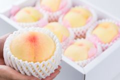 大玉 山梨県産黄金桃3kg✖️2箱 - メルカリ