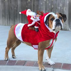秋冬クリスマス犬服 子犬服 ペット服 ドッグ服 ドッグウェア  ペットウェア