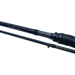 2025年最新】シーバスロッドの人気アイテム - メルカリ