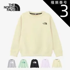 種類3：(GL)グラベル/120 ザ・ノース・フェイス キッズ トレーナー THE NORTH FACE NTJ12471 カラライズスウェットクルー クルーネック ストレッチ  ノースフェイス (240125) 子供 