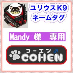 Maddy様　専用　ユリウスk9 キロナイナー　ネームタグ　刺繍名前ワッペン　ハーネス名札　犬用品　犬