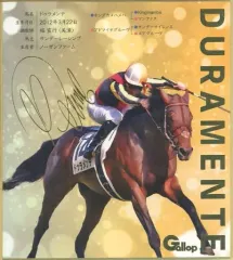 名馬全史色紙コレクション第二弾12枚入り1セット – kawaraban