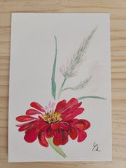 水彩画 ムクゲの花 植物画 原画 - メルカリ