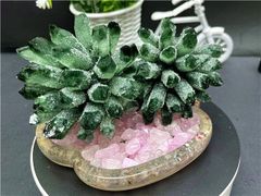 超綺麗グリーンクラスター&天然ローズクォーツ水晶チップ(7-9MM)B86U6/99U10B