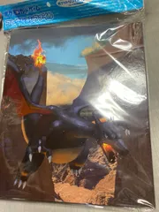 ポケモンカードゲーム コレクションファイル 色違いのリザードン