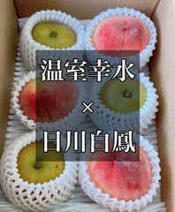 食べ比べセット　甘い秀品　温室幸水　日川白鳳　梨　桃　ハウス