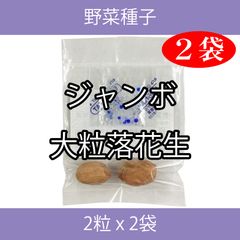野菜種子 ECQ ジャンボ大粒落花生 2粒 x 2袋