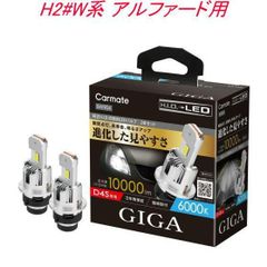 【定形外郵便】カーメイト GIGA LEDヘッドバルブ D10 6000K D4S トヨタ H2#W系 アルファード用【BW904】
