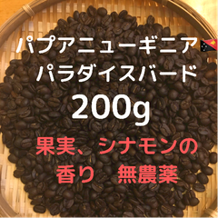 自家焙煎 パプアニューギニア パラダイスバード 200g 豆又は粉