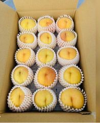 今年最終出品🙇白桃、黄金桃12玉〜16玉入3.5kg〜　長野県産　クール便送料無料！　必ず商品説明を最後までご覧下さい。フォロワー様限定クーポン配布致します。桃　すもも