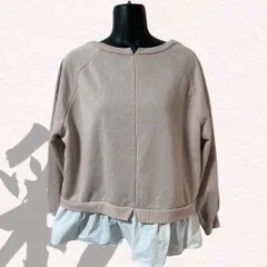 ITEMS URBAN RESEARCH アイテムズアーバンリサーチ　Tシャツ　フリル付き　ピンク　長袖