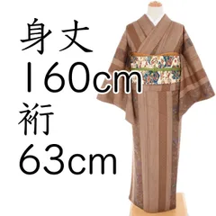 値下げ！極美品★縮緬訪問着 値下げ交渉OK！ロング寸 ぜんまい生紬 訪問着 正絹 C786