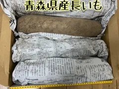 青森県産　土付き長いも1.2キロのサムネイル