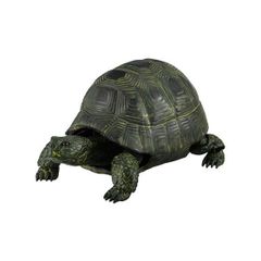 【商品番号13】　ブラックギリシャリクガメ　フィギュア　フィギア　　爬虫類　亀　カメ　ガチャガチャ