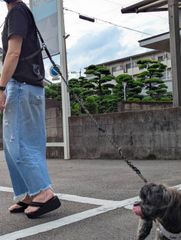 パラコードショルダーリード＆首輪　ブラック＆カーキ