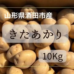 【綺麗！】山形県酒田市産じゃがいも　10Kg【野菜】