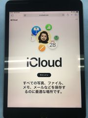 【送料無料】外観美品 電池95％  iPad mini 第5世代 Wi-Fi 64GB スペースグレイ 液晶シミ 訳あり