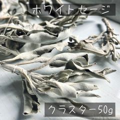 【まとめ買いでお得/incense】ホワイトセージ枝付きクラスター 50g