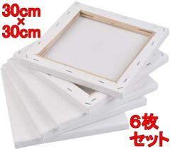 キャンバス 30X30cm 6枚/セット キャンバスボード 綿 中目 木製フレーム 水彩画・油絵画・絵画 おすすめ