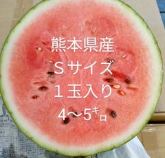 西瓜　熊本県産　Ｓサイズ