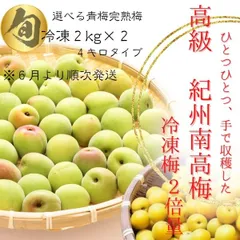待望の販売開始　２㎏袋　２入り　送料無料　傷あり高級紀州南高梅 冷凍発送 ここ和歌山から産地直送 選べる青梅 完熟梅 （出荷は青梅２６日~完熟６月１０~※収穫により前後)　梅ジュ－ス 梅干し　梅酒 ジャム 手作り　レシピ付き　うめ　うめぼし　生梅４キロ袋入りのサムネイル