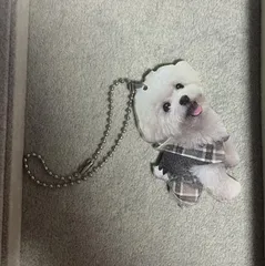 トイプードル ② キーホルダー 犬 ワンちゃん キーチェーン かわいい 動物 アクセサリー ペット 雑貨