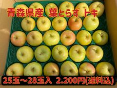 【訳あり】青森県産★葉とらず トキ★りんご小玉