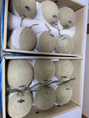 たま様専用