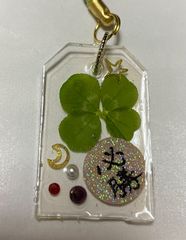 Item thumbnail for item 6fb0a522-2827-4a1c-9f60-a5adbacc3b4b