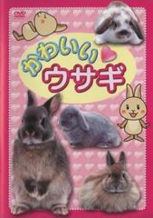 全巻セット【中古】DVD▼天命(10枚セット)第1話～第20話 最終 レンタル落ち 天命 全10枚 第1話〜第20話 最終 レンタル落ち 全巻セット 中古