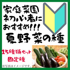 春からでも蒔ける　夏野菜の種　15種類セット　家庭菜園におすすめ　固定種