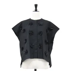 【新品】TORRAZZO DONNA トラッゾドンナ ブラウス ブラック 黒 サイズ:FREE / 24秋冬 オーガンジー モチーフ ブラウス / バンドカラー フレンチスリーブ ショート丈 / トップス シャツ 【レディース】のサムネイル