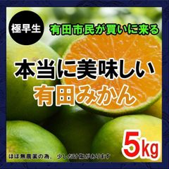 【匿名配送】減農薬の有田みかん 5kg