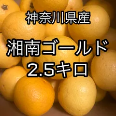 2024年最新】黄金柑の人気アイテム - メルカリ